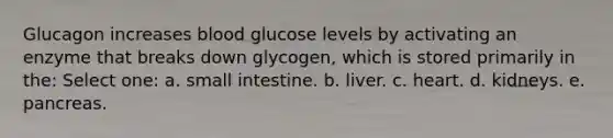 Glucagon increases blood glucose levels by activating an enzyme that breaks down glycogen, which is stored primarily in the: Select one: a. small intestine. b. liver. c. heart. d. kidneys. e. pancreas.