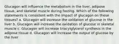 Glucagon will influence the metabolism in the liver, adipose tissue, and skeletal muscle during fasting. Which of the following statements is consistent with the impact of glucagon on these tissues? a. Glucagon will increase the oxidation of glucose in the liver b. Glucagon will increase the oxidation of glucose in skeletal muscle c. Glucagon will increase triacylglycerol synthesis in the adipose tissue d. Glucagon will increase the output of glucose by the liver