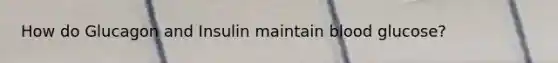 How do Glucagon and Insulin maintain blood glucose?