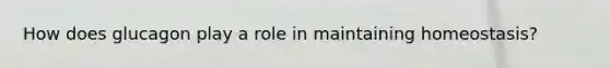 How does glucagon play a role in maintaining homeostasis?