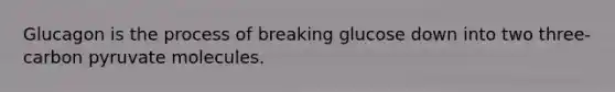 Glucagon is the process of breaking glucose down into two three-carbon pyruvate molecules.