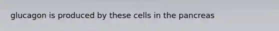 glucagon is produced by these cells in the pancreas