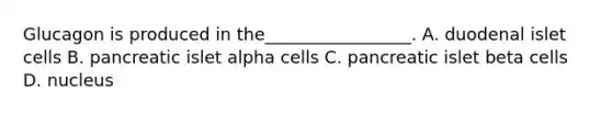 Glucagon is produced in the_________________. A. duodenal islet cells B. pancreatic islet alpha cells C. pancreatic islet beta cells D. nucleus