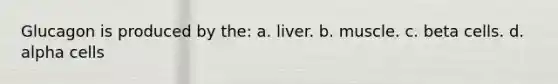 Glucagon is produced by the: a. liver. b. muscle. c. beta cells. d. alpha cells