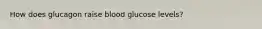 How does glucagon raise blood glucose levels?