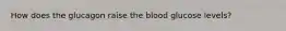 How does the glucagon raise the blood glucose levels?