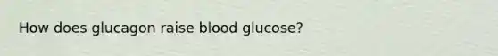 How does glucagon raise blood glucose?