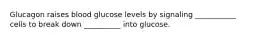 Glucagon raises blood glucose levels by signaling ___________ cells to break down __________ into glucose.