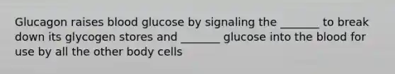 Glucagon raises blood glucose by signaling the _______ to break down its glycogen stores and _______ glucose into the blood for use by all the other body cells