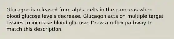 Glucagon is released from alpha cells in the pancreas when blood glucose levels decrease. Glucagon acts on multiple target tissues to increase blood glucose. Draw a reflex pathway to match this description.