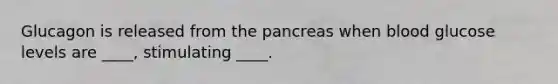 Glucagon is released from the pancreas when blood glucose levels are ____, stimulating ____.