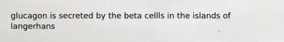 glucagon is secreted by the beta cellls in the islands of langerhans