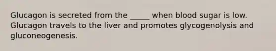 Glucagon is secreted from the _____ when blood sugar is low. Glucagon travels to the liver and promotes glycogenolysis and gluconeogenesis.