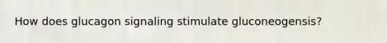 How does glucagon signaling stimulate gluconeogensis?