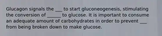 Glucagon signals the ___ to start gluconeogenesis, stimulating the conversion of ______ to glucose. It is important to consume an adequate amount of carbohydrates in order to prevent ___ from being broken down to make glucose.