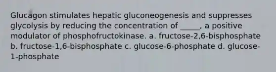 Glucagon stimulates hepatic gluconeogenesis and suppresses glycolysis by reducing the concentration of _____, a positive modulator of phosphofructokinase. a. fructose-2,6-bisphosphate b. fructose-1,6-bisphosphate c. glucose-6-phosphate d. glucose-1-phosphate