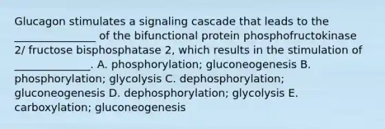 Glucagon stimulates a signaling cascade that leads to the _______________ of the bifunctional protein phosphofructokinase 2/ fructose bisphosphatase 2, which results in the stimulation of ______________. A. phosphorylation; gluconeogenesis B. phosphorylation; glycolysis C. dephosphorylation; gluconeogenesis D. dephosphorylation; glycolysis E. carboxylation; gluconeogenesis