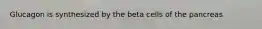 Glucagon is synthesized by the beta cells of the pancreas