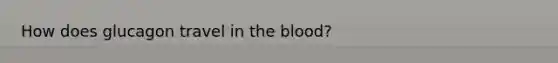 How does glucagon travel in the blood?