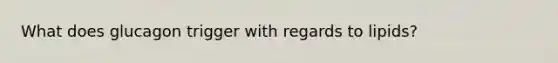 What does glucagon trigger with regards to lipids?