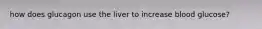 how does glucagon use the liver to increase blood glucose?
