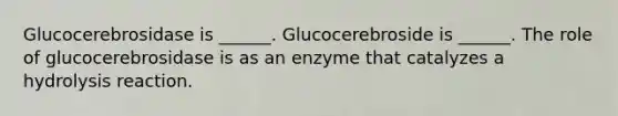 Glucocerebrosidase is ______. Glucocerebroside is ______. The role of glucocerebrosidase is as an enzyme that catalyzes a hydrolysis reaction.