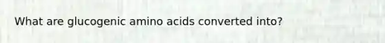 What are glucogenic amino acids converted into?