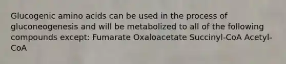 Glucogenic amino acids can be used in the process of gluconeogenesis and will be metabolized to all of the following compounds except: Fumarate Oxaloacetate Succinyl-CoA Acetyl-CoA