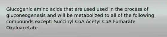 Glucogenic amino acids that are used used in the process of gluconeogenesis and will be metabolized to all of the following compounds except: Succinyl-CoA Acetyl-CoA Fumarate Oxaloacetate