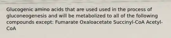 Glucogenic amino acids that are used used in the process of gluconeogenesis and will be metabolized to all of the following compounds except: Fumarate Oxaloacetate Succinyl-CoA Acetyl-CoA