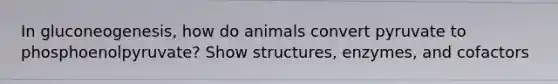 In gluconeogenesis, how do animals convert pyruvate to phosphoenolpyruvate? Show structures, enzymes, and cofactors