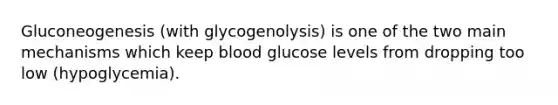 Gluconeogenesis (with glycogenolysis) is one of the two main mechanisms which keep blood glucose levels from dropping too low (hypoglycemia).