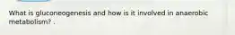 What is gluconeogenesis and how is it involved in anaerobic metabolism? .