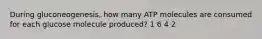 During gluconeogenesis, how many ATP molecules are consumed for each glucose molecule produced? 1 6 4 2