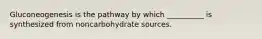 Gluconeogenesis is the pathway by which __________ is synthesized from noncarbohydrate sources.