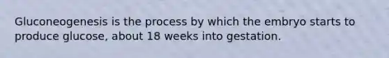 Gluconeogenesis is the process by which the embryo starts to produce glucose, about 18 weeks into gestation.