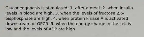 Gluconeogenesis is stimulated: 1. after a meal. 2. when insulin levels in blood are high. 3. when the levels of fructose 2,6-bisphosphate are high. 4. when protein kinase A is activated downstream of GPCR. 5. when the energy charge in the cell is low and the levels of ADP are high