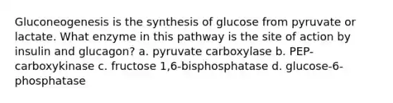 Gluconeogenesis is the synthesis of glucose from pyruvate or lactate. What enzyme in this pathway is the site of action by insulin and glucagon? a. pyruvate carboxylase b. PEP-carboxykinase c. fructose 1,6-bisphosphatase d. glucose-6-phosphatase