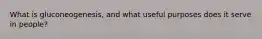 What is gluconeogenesis, and what useful purposes does it serve in people?