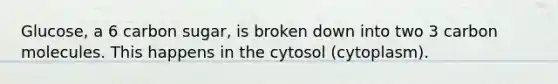 Glucose, a 6 carbon sugar, is broken down into two 3 carbon molecules. This happens in the cytosol (cytoplasm).