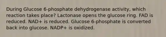 During Glucose 6-phosphate dehydrogenase activity, which reaction takes place? Lactonase opens the glucose ring. FAD is reduced. NAD+ is reduced. Glucose 6-phosphate is converted back into glucose. NADP+ is oxidized.