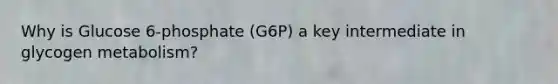 Why is Glucose 6-phosphate (G6P) a key intermediate in glycogen metabolism?