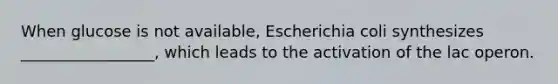 When glucose is not available, Escherichia coli synthesizes _________________, which leads to the activation of the lac operon.