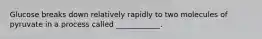 Glucose breaks down relatively rapidly to two molecules of pyruvate in a process called ____________.