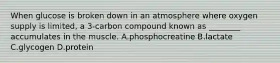 When glucose is broken down in an atmosphere where oxygen supply is limited, a 3-carbon compound known as ________ accumulates in the muscle. A.phosphocreatine B.lactate C.glycogen D.protein