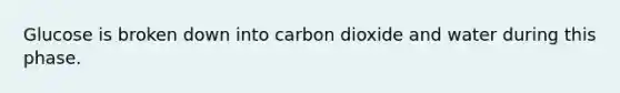 Glucose is broken down into carbon dioxide and water during this phase.