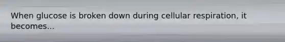 When glucose is broken down during cellular respiration, it becomes...