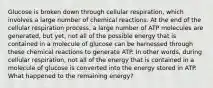 Glucose is broken down through cellular respiration, which involves a large number of chemical reactions. At the end of the cellular respiration process, a large number of ATP molecules are generated, but yet, not all of the possible energy that is contained in a molecule of glucose can be harnessed through these chemical reactions to generate ATP. In other words, during cellular respiration, not all of the energy that is contained in a molecule of glucose is converted into the energy stored in ATP. What happened to the remaining energy?