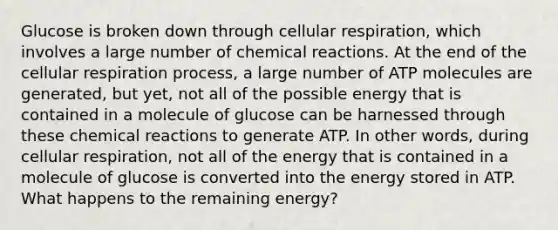 Glucose is broken down through <a href='https://www.questionai.com/knowledge/k1IqNYBAJw-cellular-respiration' class='anchor-knowledge'>cellular respiration</a>, which involves a large number of <a href='https://www.questionai.com/knowledge/kc6NTom4Ep-chemical-reactions' class='anchor-knowledge'>chemical reactions</a>. At the end of the cellular respiration process, a large number of ATP molecules are generated, but yet, not all of the possible energy that is contained in a molecule of glucose can be harnessed through these chemical reactions to generate ATP. In other words, during cellular respiration, not all of the energy that is contained in a molecule of glucose is converted into the energy stored in ATP. What happens to the remaining energy?