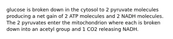 glucose is broken down in the cytosol to 2 pyruvate molecules producing a net gain of 2 ATP molecules and 2 NADH molecules. The 2 pyruvates enter the mitochondrion where each is broken down into an acetyl group and 1 CO2 releasing NADH.